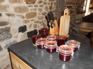 la deuxieme tournée de confiture groseilles macros noires  (2)