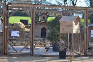 ferme pedagogique de rousson_o