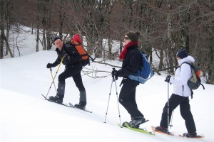 les cevennes en Hiver